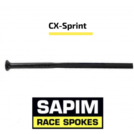Sapim CX-Sprint Straight-Pull Spoke | SH Race