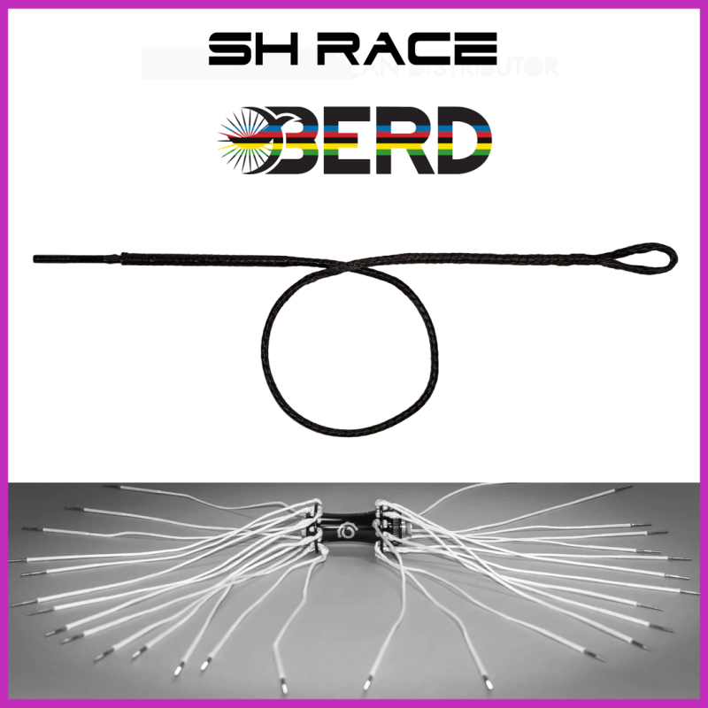 SHR Helix – Carbon Road Wheels with BERD Spokes