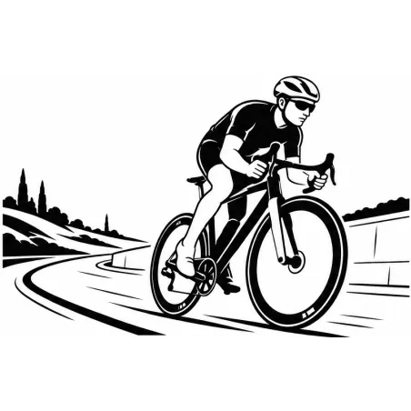 SH Race handbuilt road bike wheels