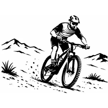 SH Race custom-built MTB wheels