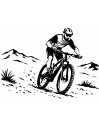 VTT