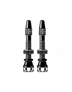 Tubeless Valves and Valve Extenders | SH Race
